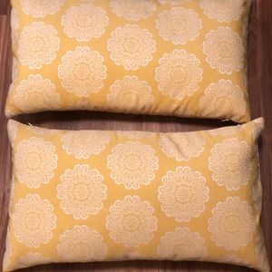 Set of 2 Matching Throw Pillows